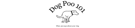 Dog Poop 101: What poo says about your dog?