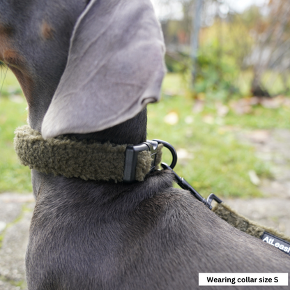 Green Cozy Collar