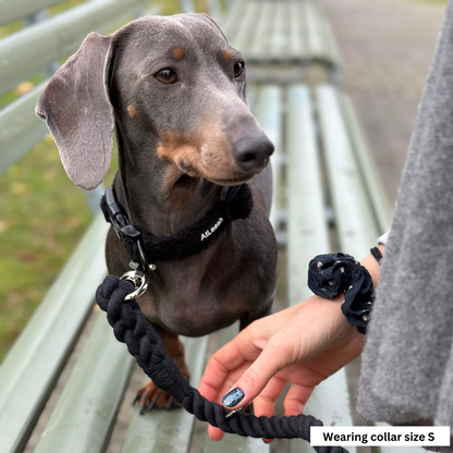 Black Cozy Collar