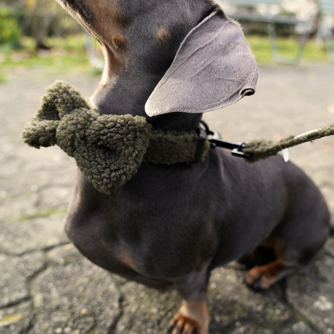 Green Cozy Bowtie