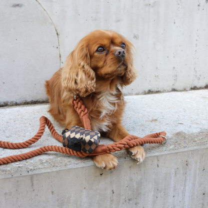 Rope Leash Brown