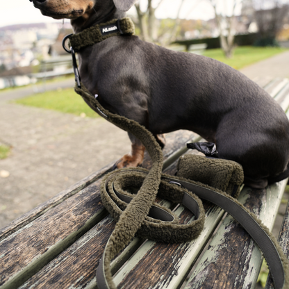 Green Cozy Leash