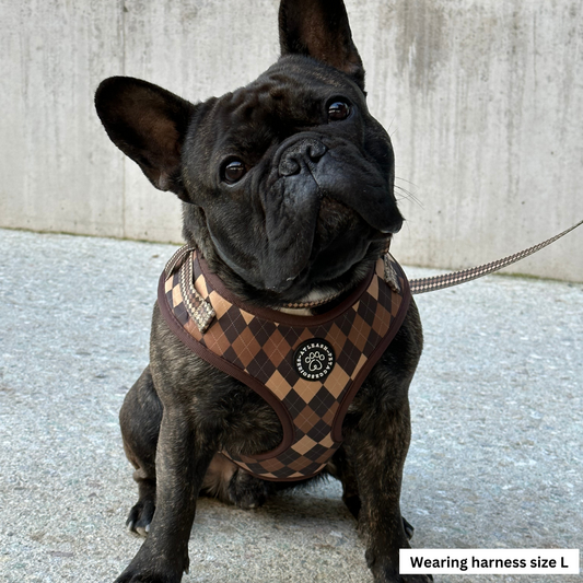 Harnesses for Frenchies