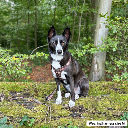 Petburry Harness