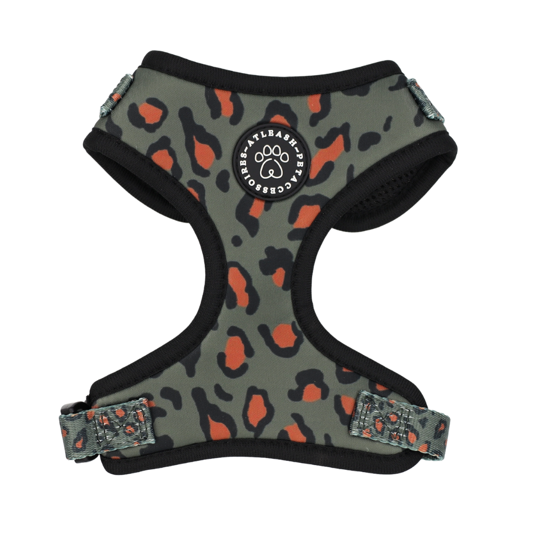 Harnesses for Border Collies