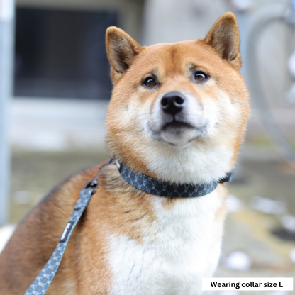 Collars for Shiba Inus