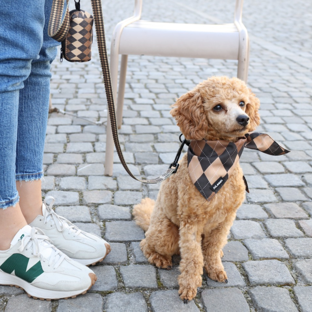 Accessoires for Miniature Poodle