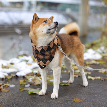 Petburry Bandana