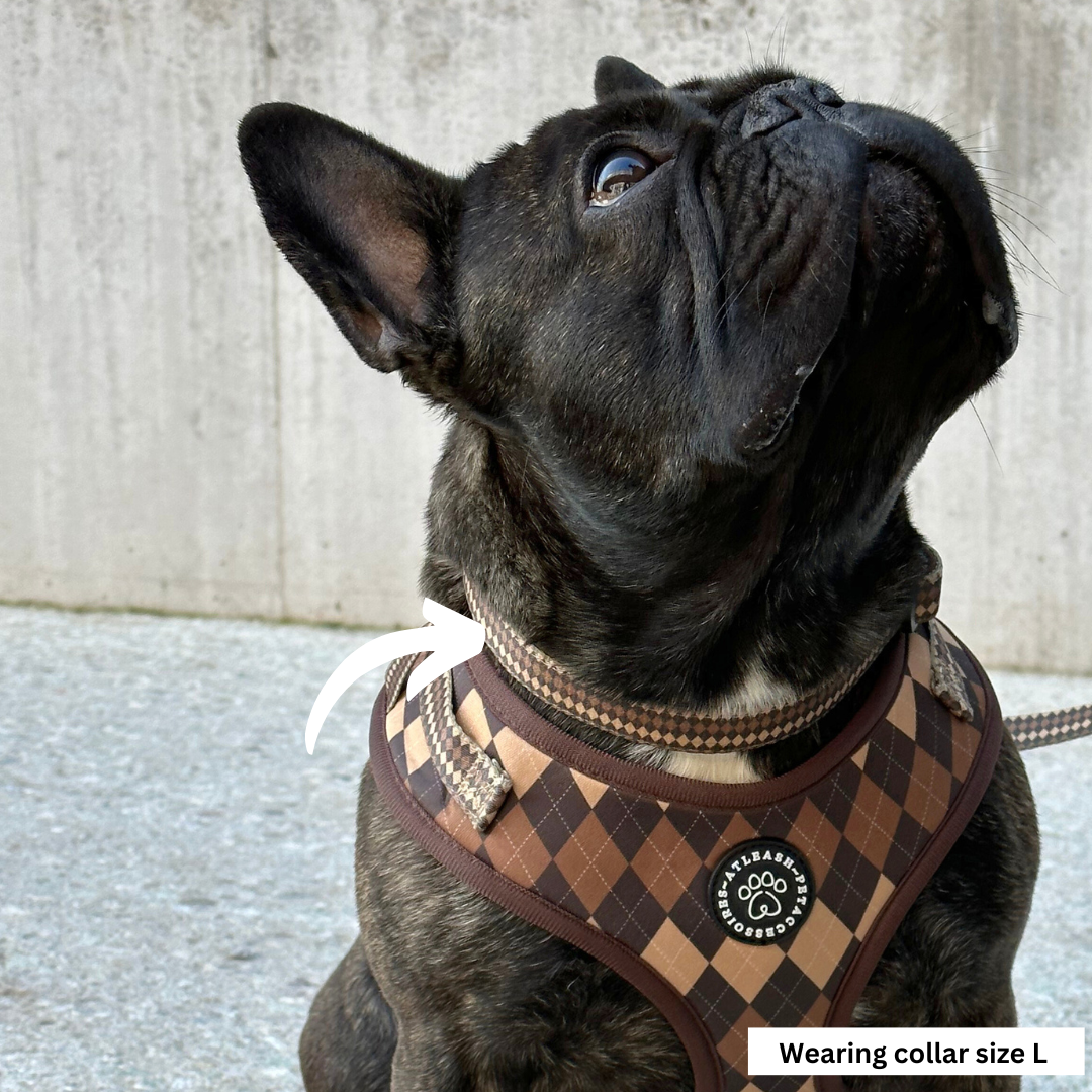 Collars for Frenchies