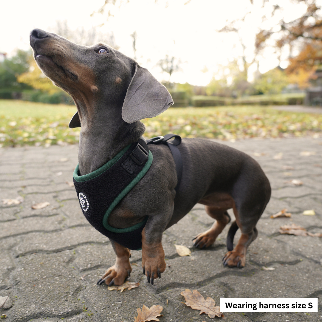 Black Cozy Harness