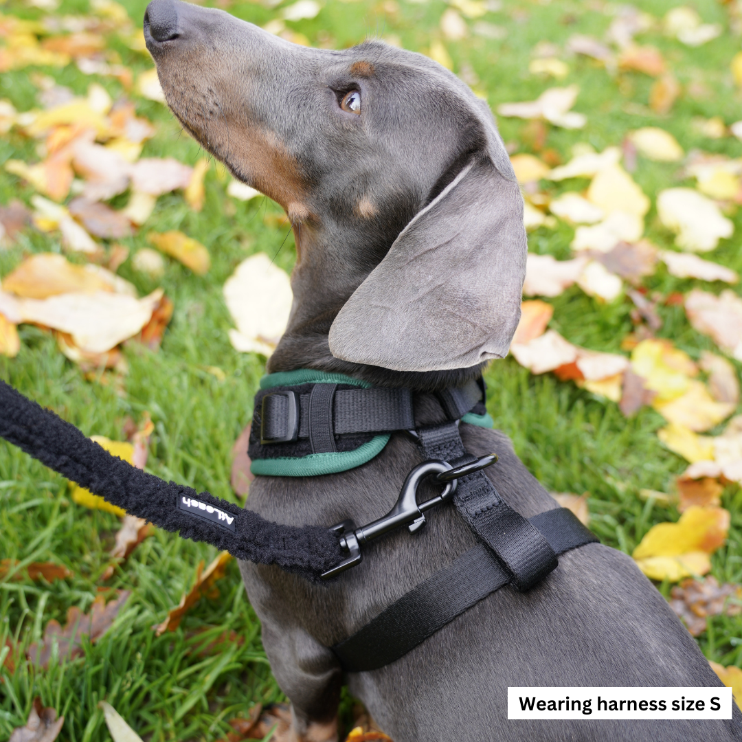 Black Cozy Harness