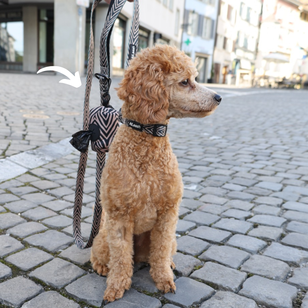 Tiger Lily Leash