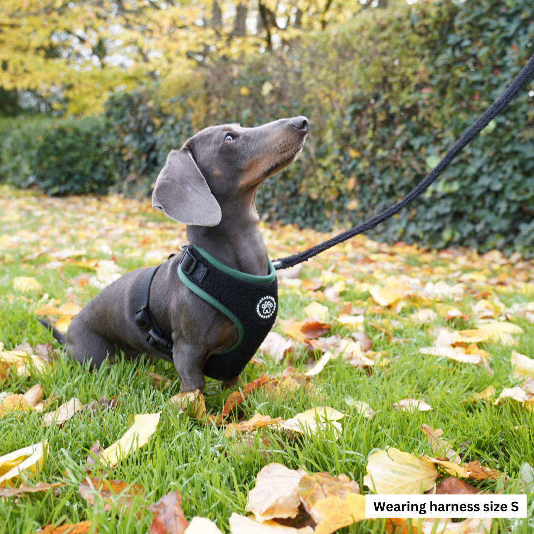 Black Cozy Harness