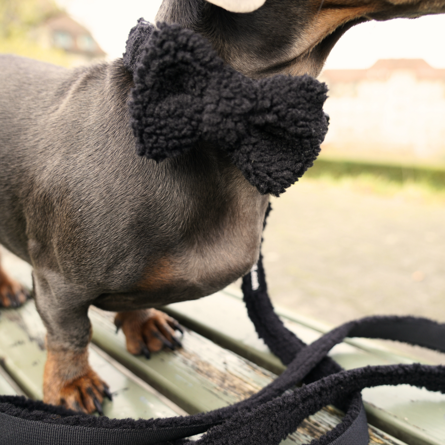 Black Cozy Bowtie