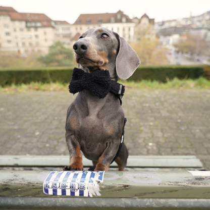 Black Cozy Bowtie