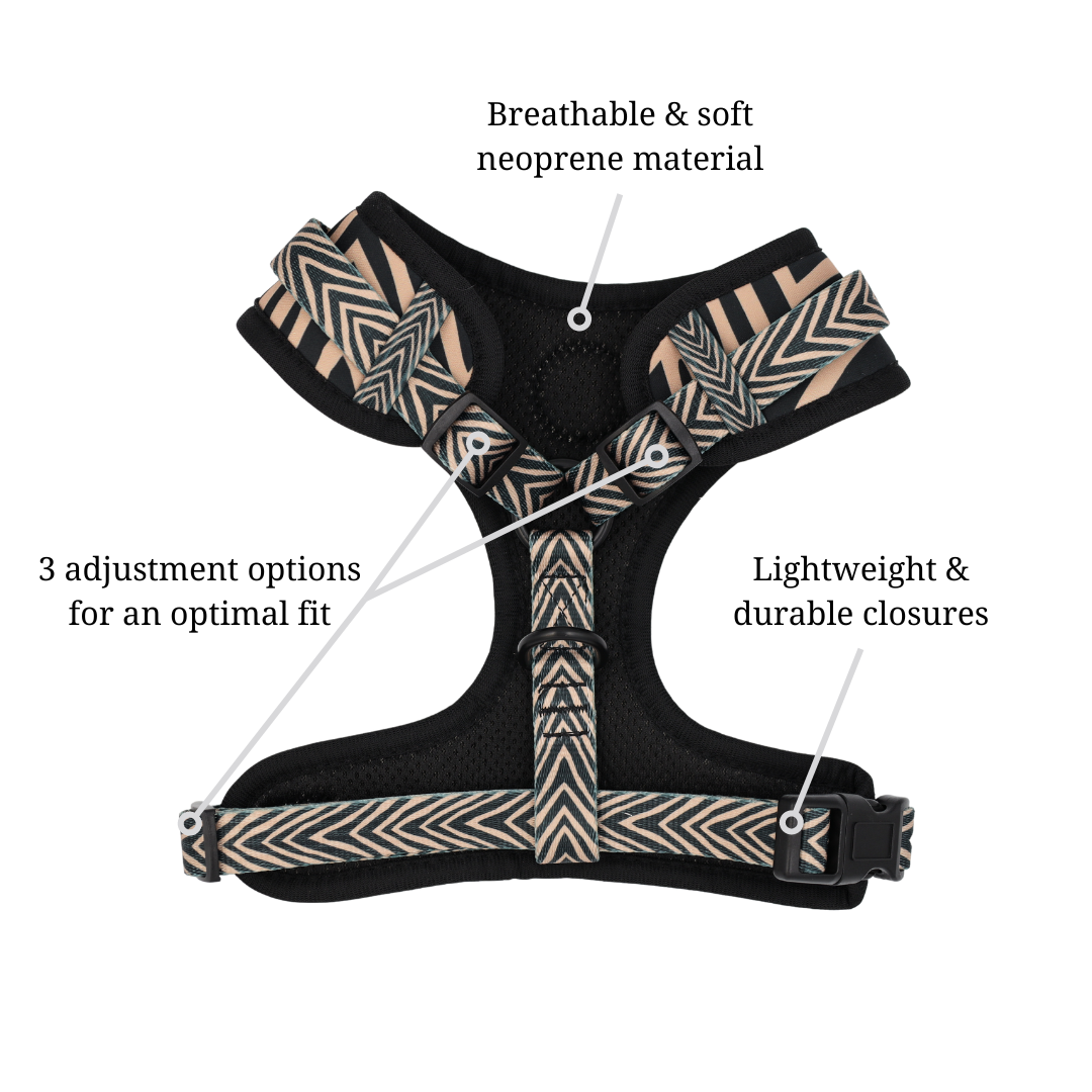 Tiger Lily Harness