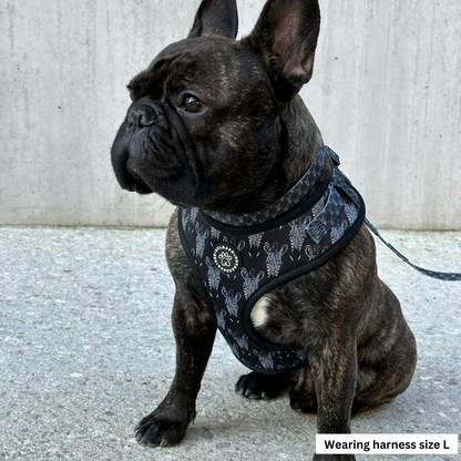 Zesty Zebra Harness