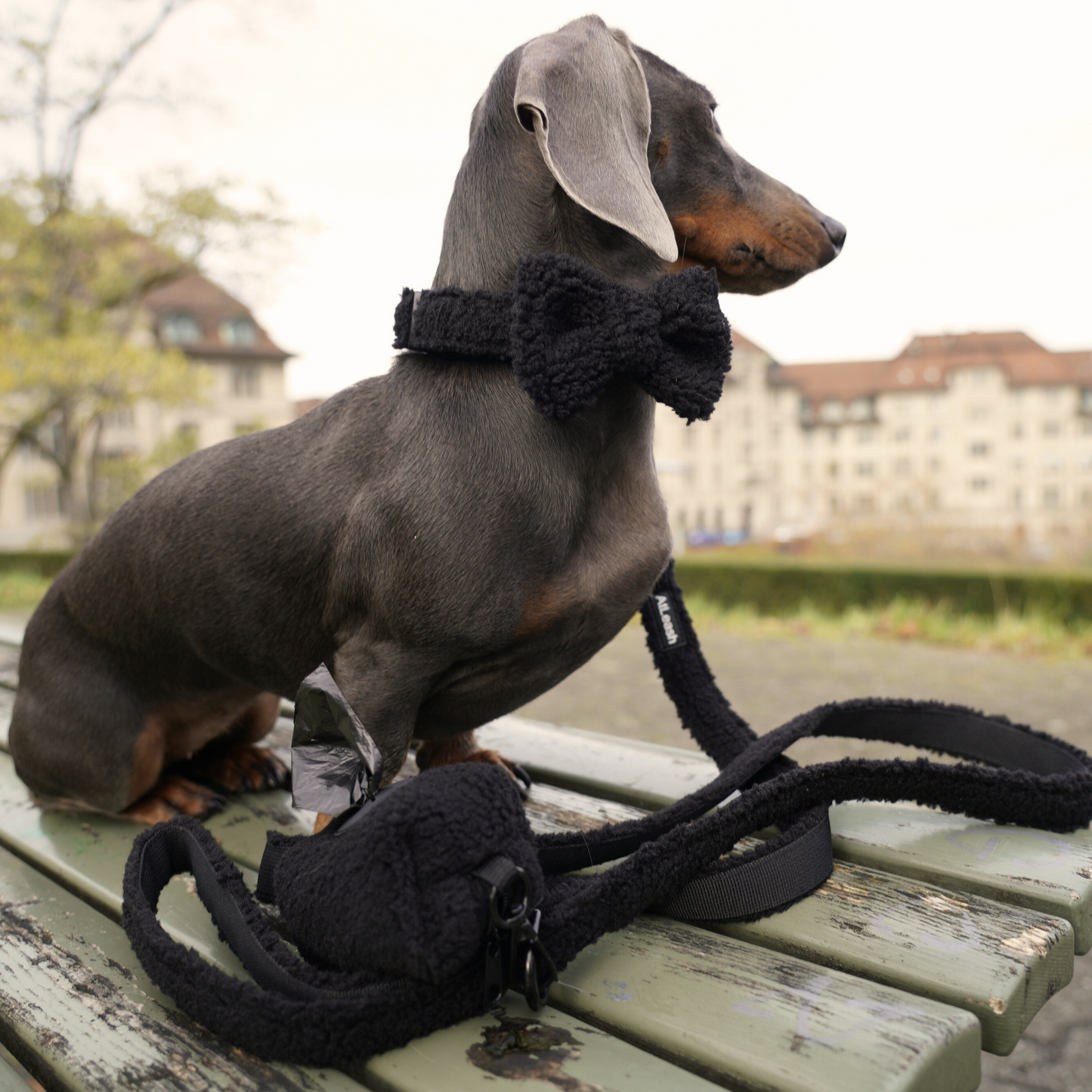 Black Cozy Leash