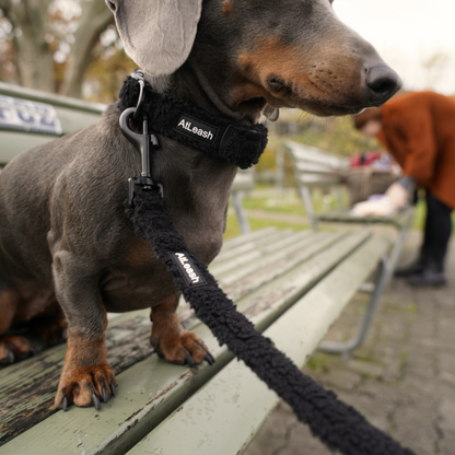 Black Cozy Leash