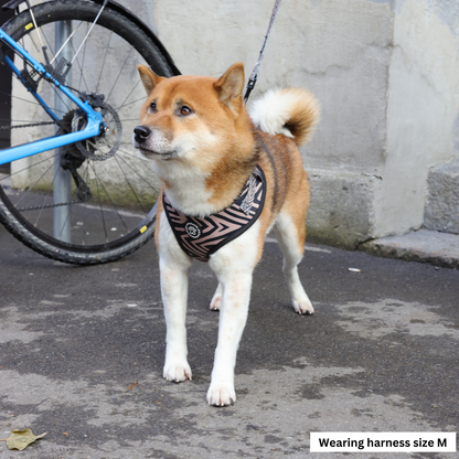 Harnesses for Shiba Inus