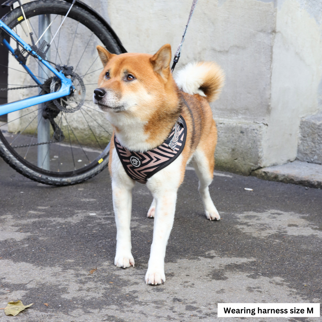 Tiger Lily Harness