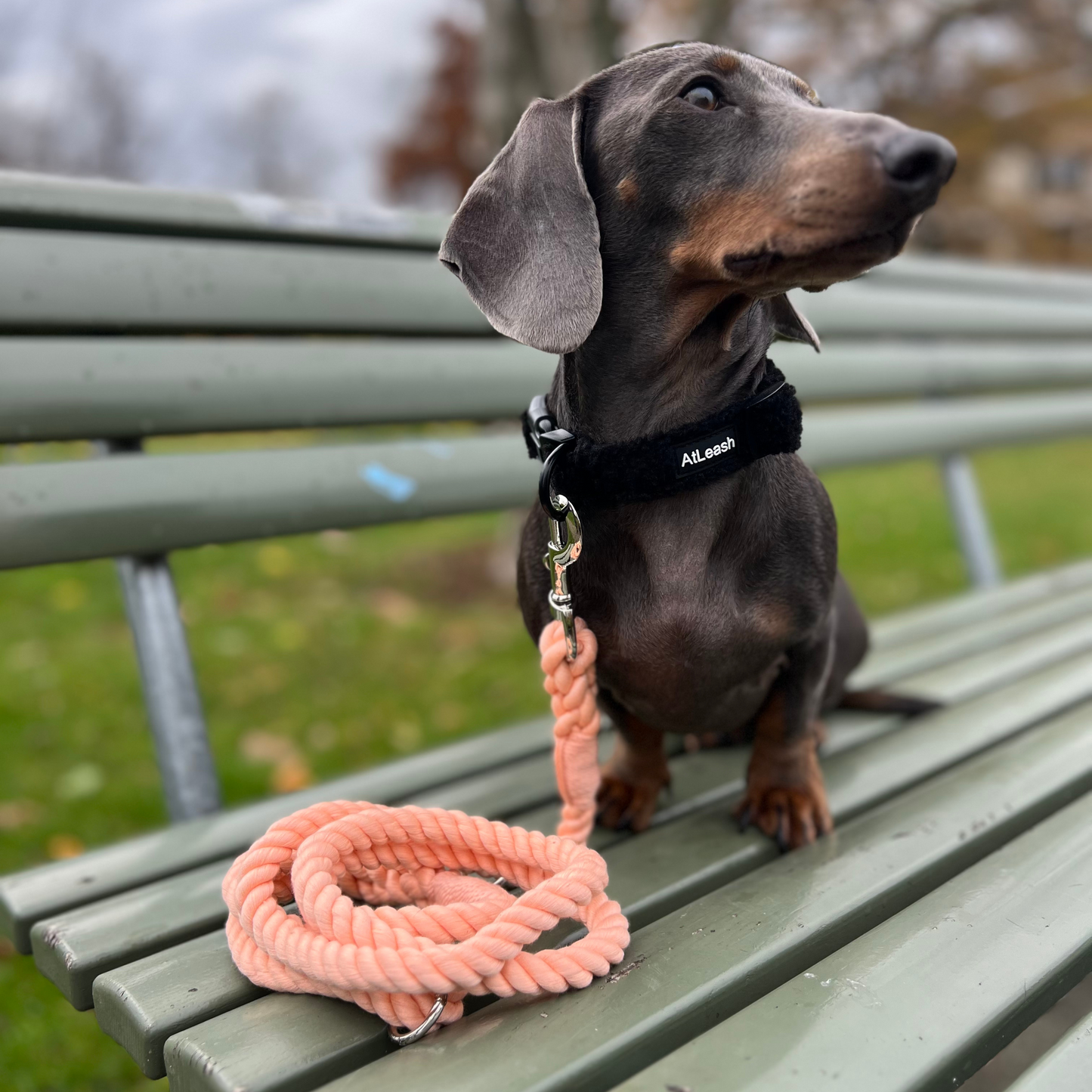 Rope Leash Peach