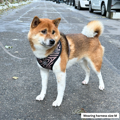 Harnesses for Shiba Inus