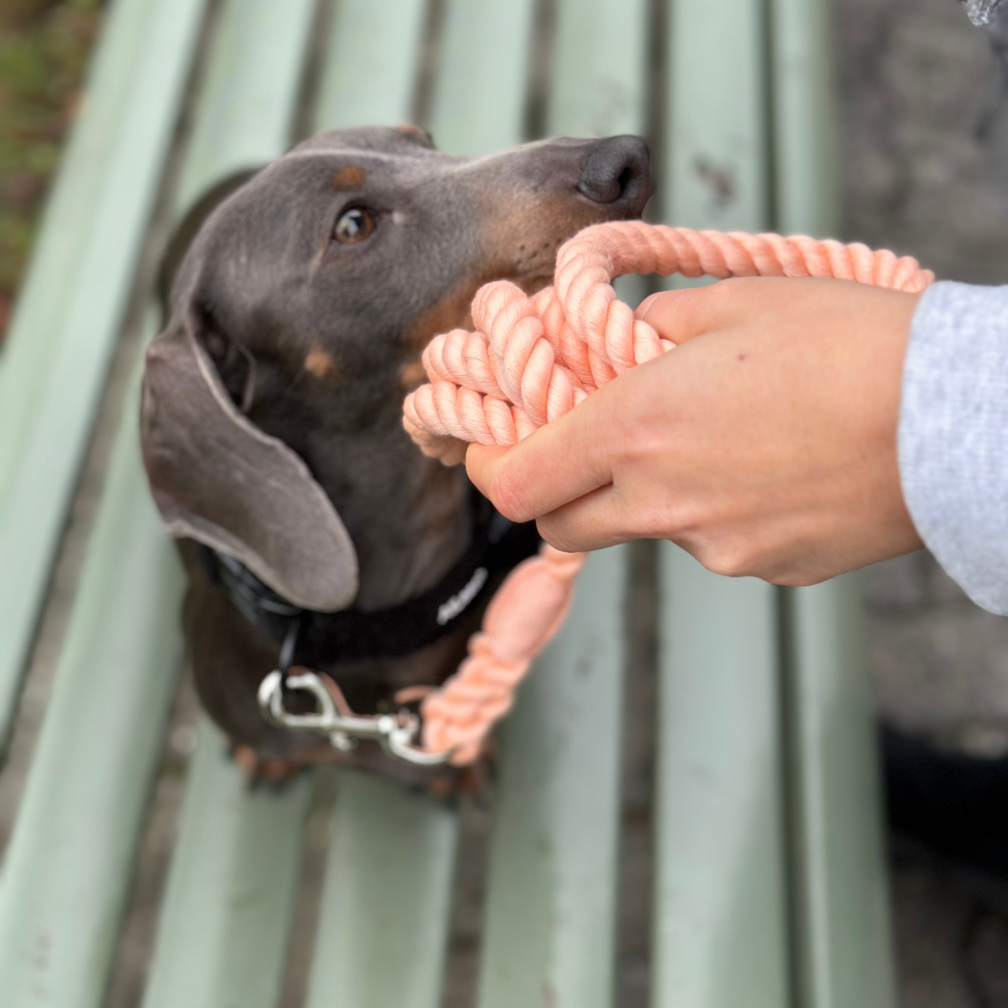 Rope Leash Peach