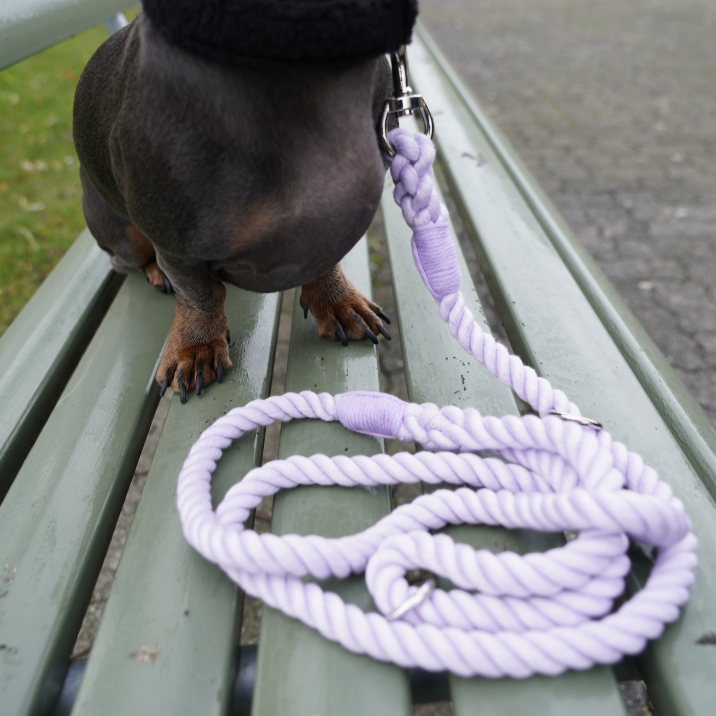 Rope Leash Lila