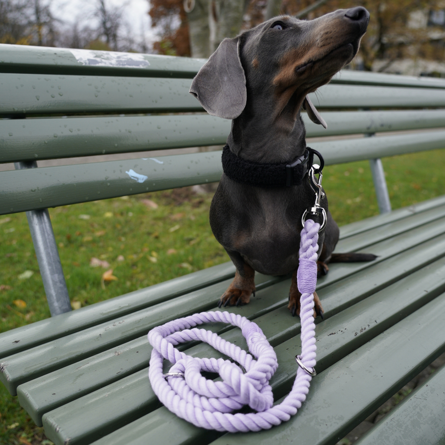 Rope Leash Lila