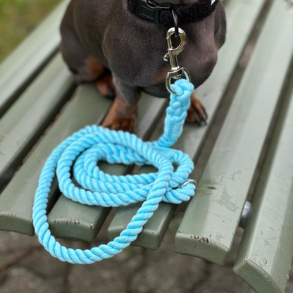 Rope Leash Blue