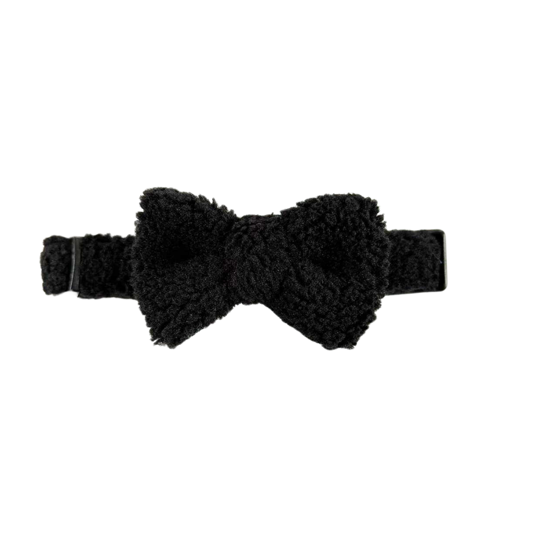 Accessoires for Miniature Poodle