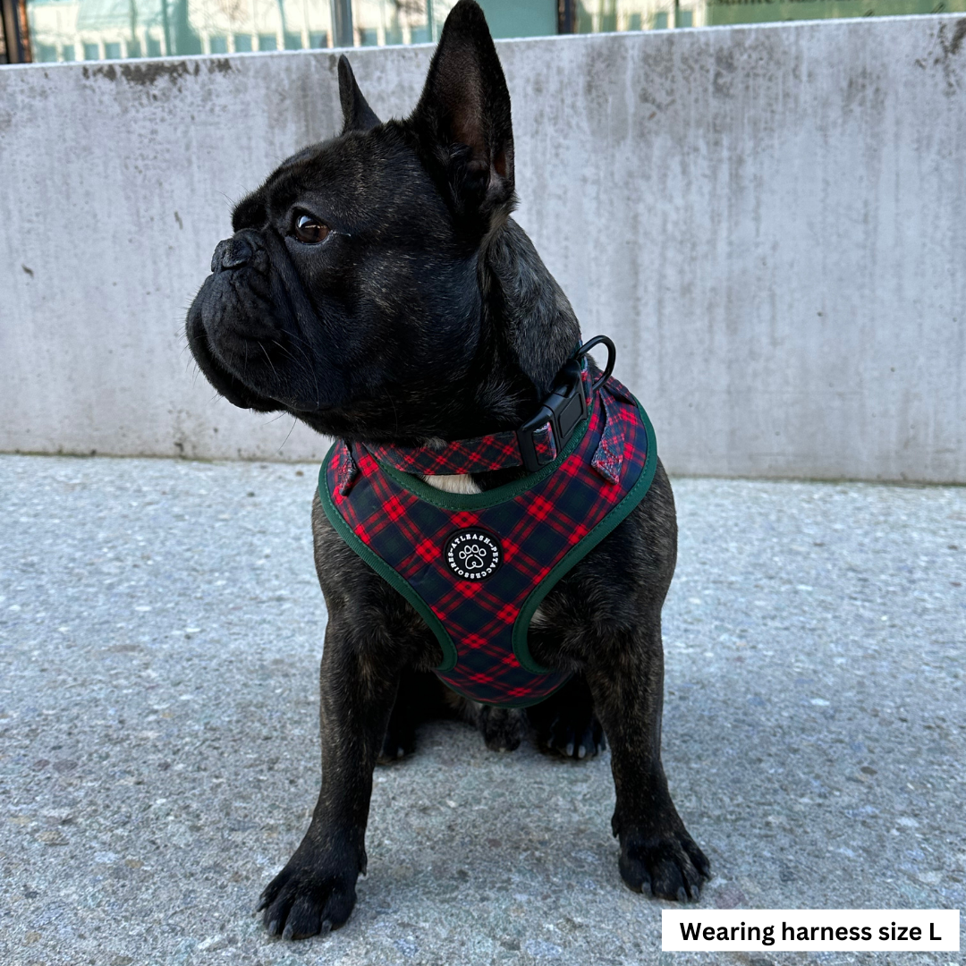 Harnesses for Frenchies