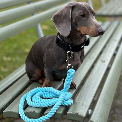 Rope Leash Blue