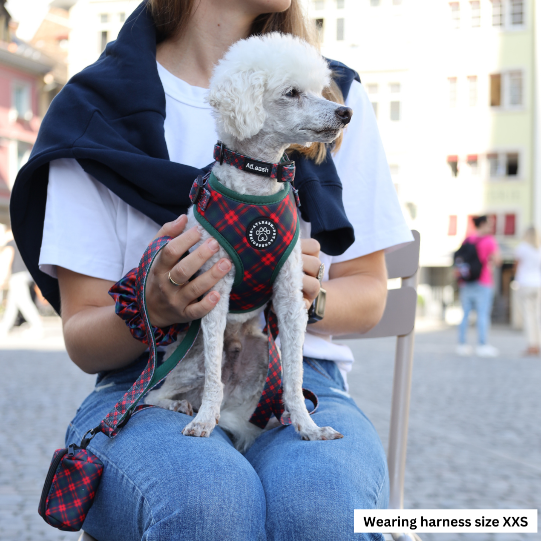 Harnesses for miniature Poodles