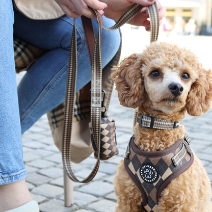 Petburry Leash