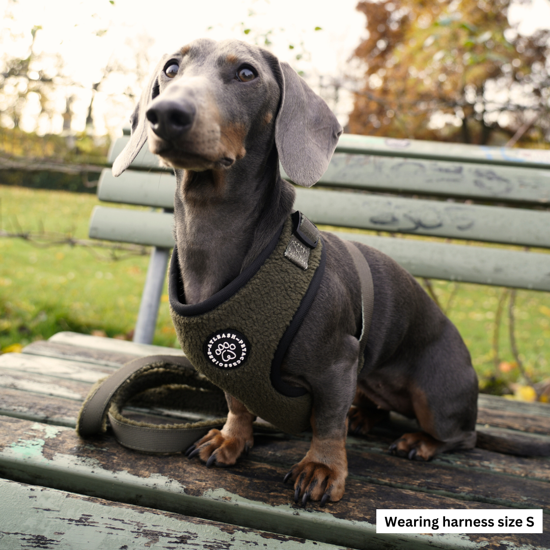 Green Cozy Harness