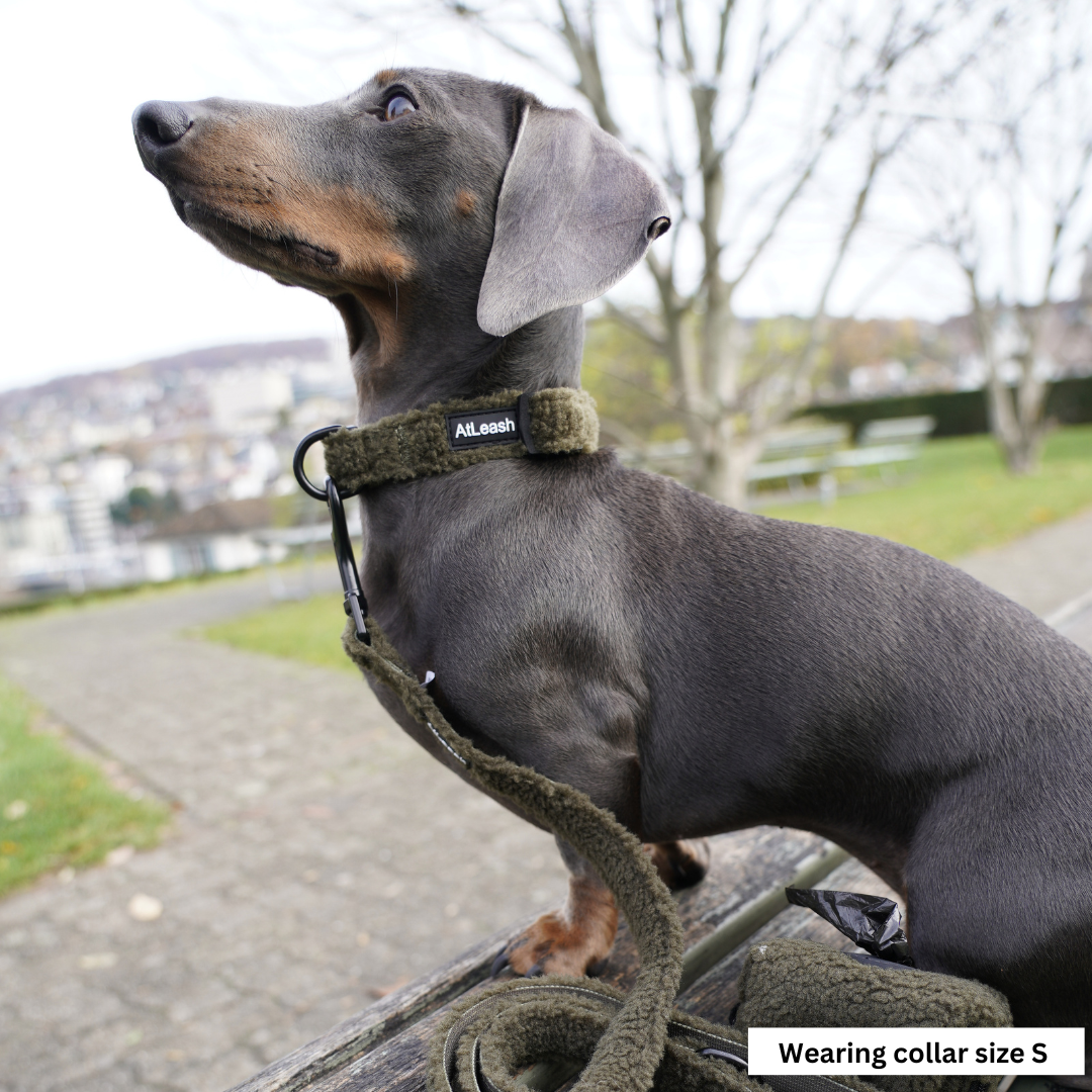 Green Cozy Collar