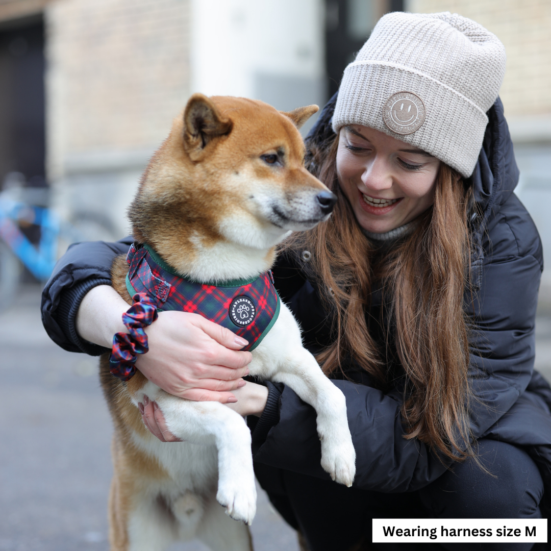 Harnesses for Shiba Inus