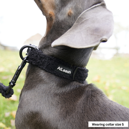 Collars for Dackels