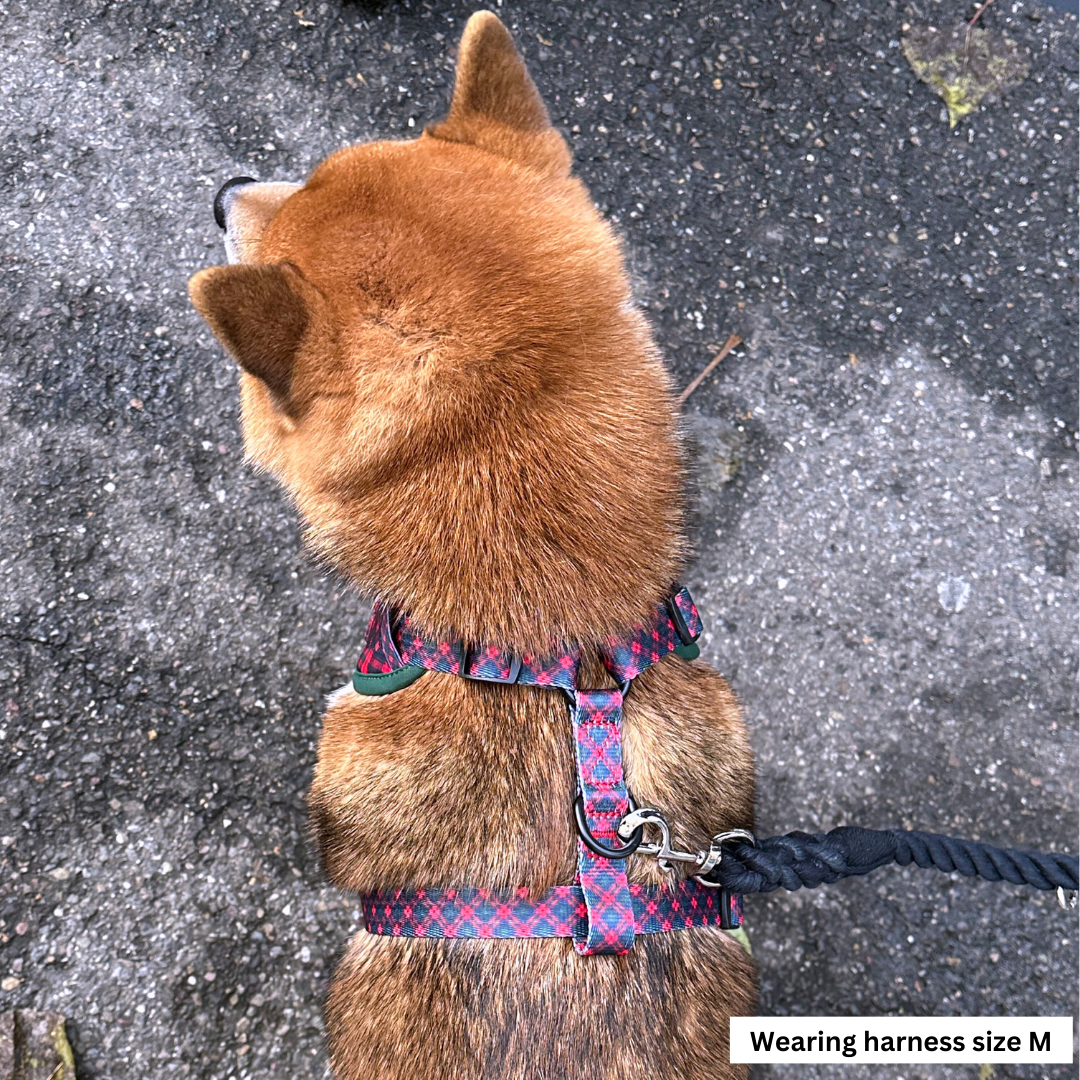 Harnesses for Shiba Inus